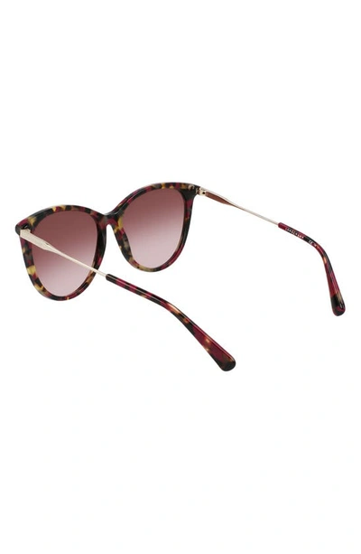 Longchamp 55mm Gradient Tea Cup Sunglasses In Red Havana