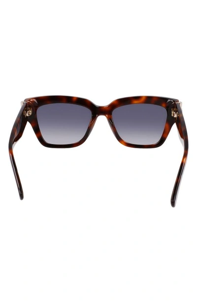 Longchamp 53mm Gradient Modified Rectangular Sunglasses In Havana