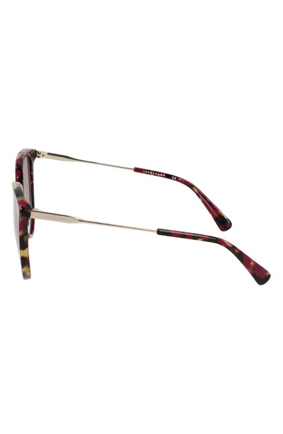Longchamp 55mm Gradient Tea Cup Sunglasses In Red Havana