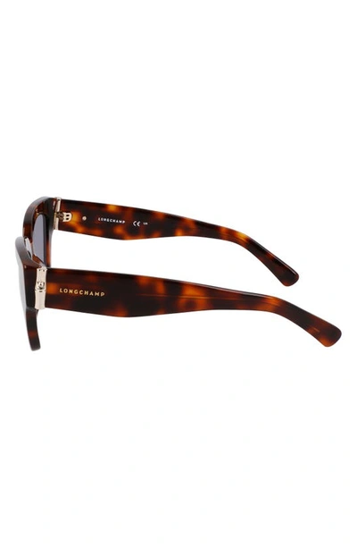 Longchamp 53mm Gradient Modified Rectangular Sunglasses In Havana
