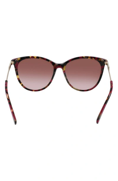Longchamp 55mm Gradient Tea Cup Sunglasses In Red Havana