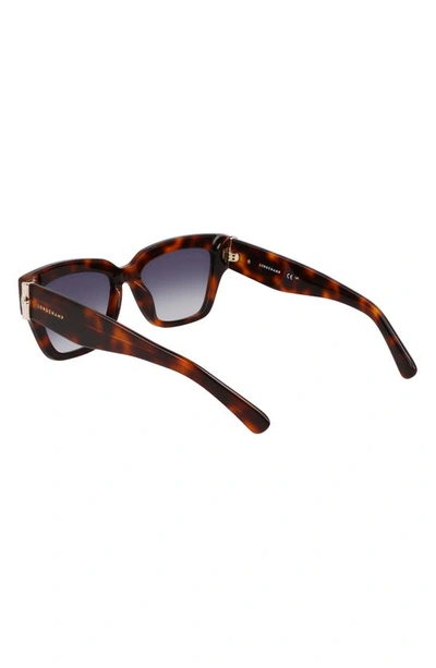 Longchamp 53mm Gradient Modified Rectangular Sunglasses In Havana