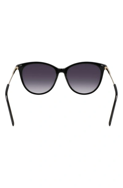 Shop Longchamp 55mm Gradient Tea Cup Sunglasses In Black