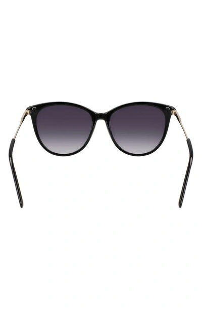 Longchamp 55mm Gradient Tea Cup Sunglasses In Black