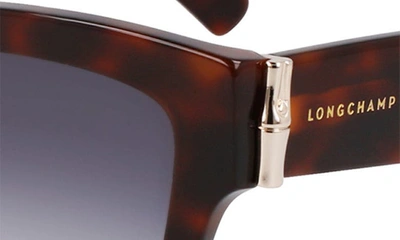 Longchamp 53mm Gradient Modified Rectangular Sunglasses In Havana