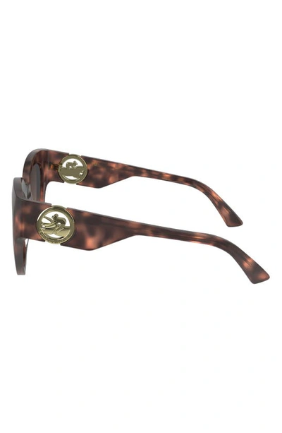 Longchamp 55mm Gradient Butterfly Sunglasses In Rose Havana