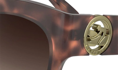 Longchamp 55mm Gradient Butterfly Sunglasses In Rose Havana