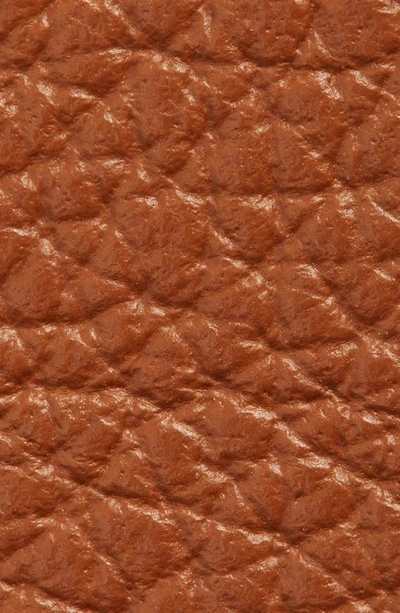 Shop Chloé Marcie Logo Buckle Leather Belt In Tan 25m