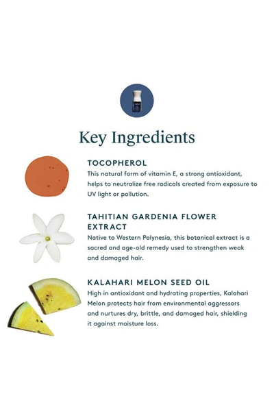 Virtue Healing Hair Oil