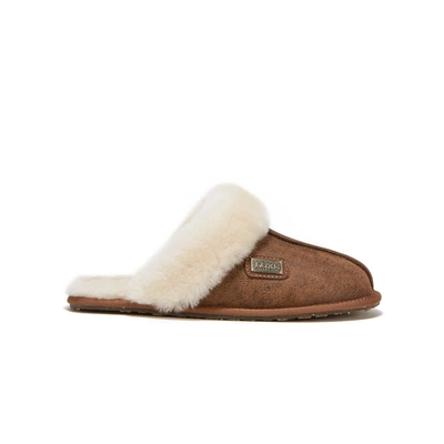 Shop Australia Luxe Collective Closed Mule Aviator Chestnut In Brown