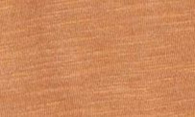 Shop Caslon Roll Tab Knit Shirt In Rust Argan Oil