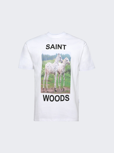 Shop Saintwoods Horse Tee In White
