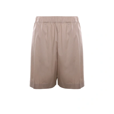 Shop Laneus Cotton Shorts