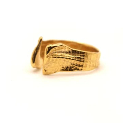 Shop Hannah Bourn Shell Texture Ring In Gold