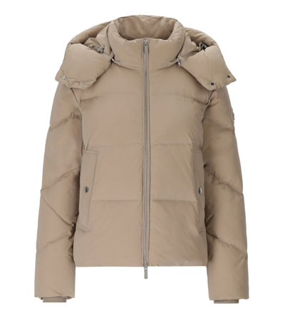 Shop Woolrich Alsea Taupe Short Hooded Down Jacket In Brown