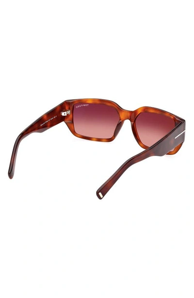 Shop Tom Ford 56mm Square Sunglasses In Blonde Havana / Bordeaux