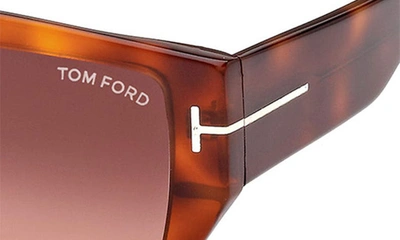Shop Tom Ford 56mm Square Sunglasses In Blonde Havana / Bordeaux