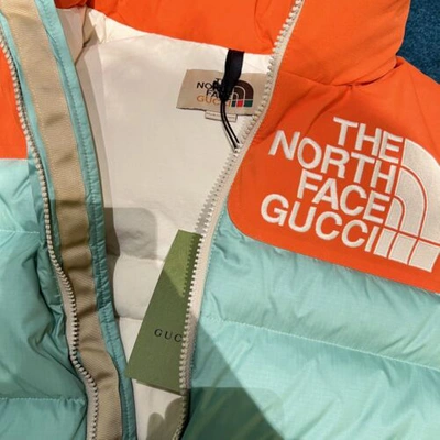 Pre-owned Gucci X North Face  Puffer Vest In All Sizes In Multicolor
