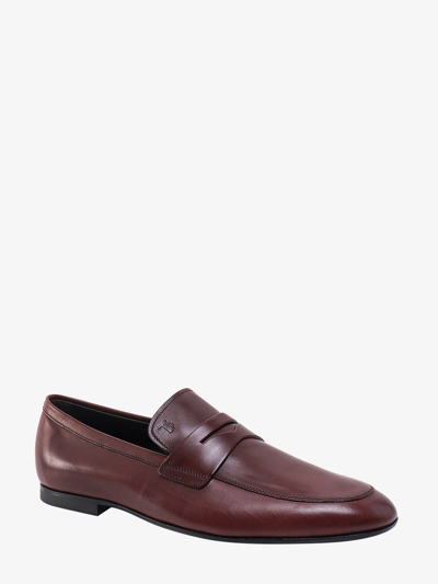 Shop Tod's Man Loafer Man Brown Loafers