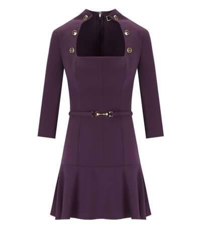 Shop Elisabetta Franchi Purple Dress With Buttons