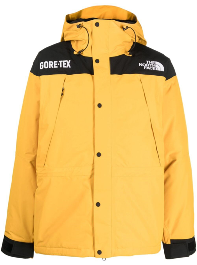 North face giacca goretex cheap