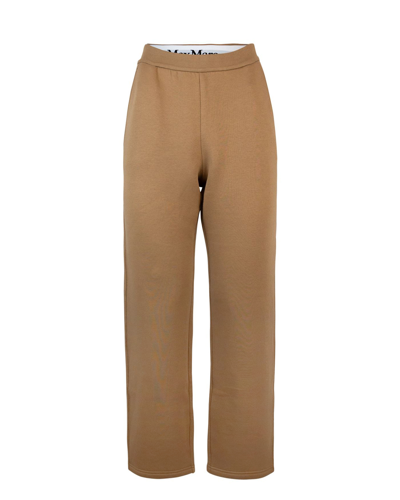 S Max Mara Damiana Pants In 002camel