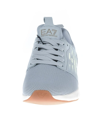 Shop Ea7 Emporio Armani  Shoes In Grey