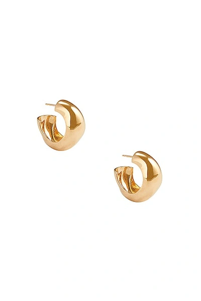Shop Agmes Medium Celia Hoop Earrings In Gold Vermeil