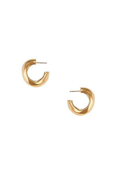 Shop Agmes Medium Celia Hoop Earrings In Gold Vermeil