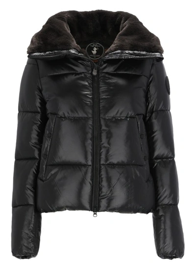 Shop Save The Duck Moma Padded Short Jacket In Black