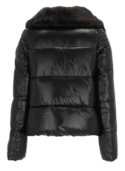 Shop Save The Duck Moma Padded Short Jacket In Black