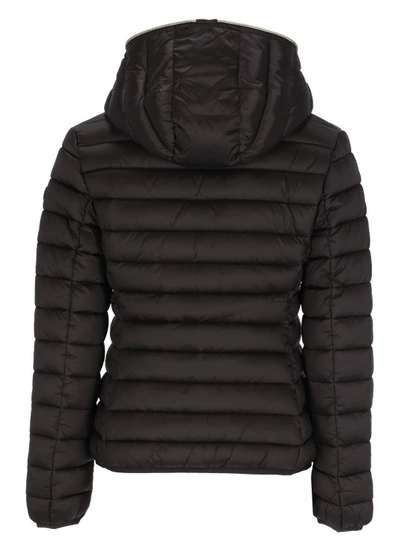 Shop Save The Duck Alexis Padded Short Jacket In Black