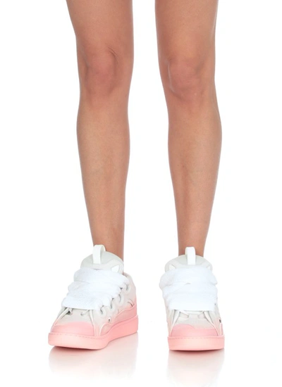 Shop Lanvin Pink/white Curb Sneakers