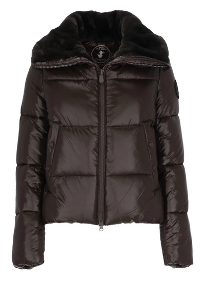 Shop Save The Duck Moma Padded Short Jacket In Brown