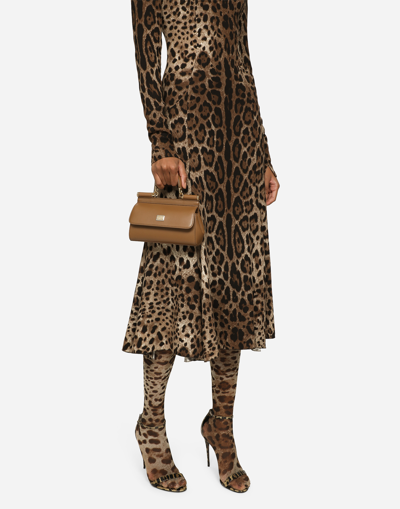 Dolce & Gabbana Small Sicily Handbag In Brown