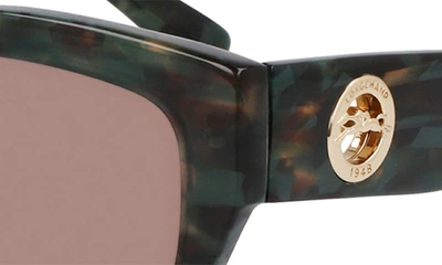Longchamp 55mm Butterfly Sunglasses In Textured Green