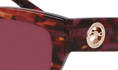 Shop Longchamp 55mm Butterfly Sunglasses In Textured Red