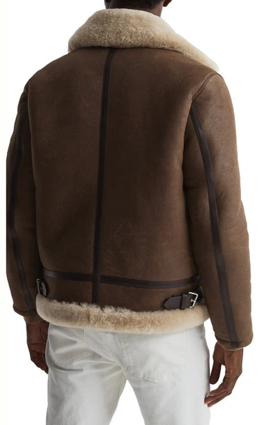 Shop Reiss Hardy Genuine Shearling Jacket In Brown