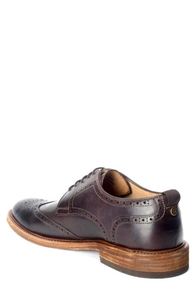 Warfield & Grand Ree Wingtip Derby In Brown