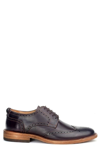 Warfield & Grand Ree Wingtip Derby In Brown