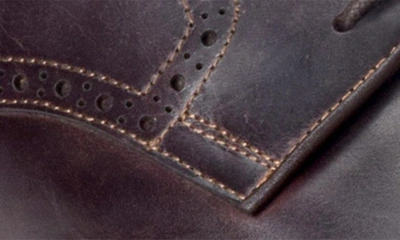 Warfield & Grand Ree Wingtip Derby In Brown