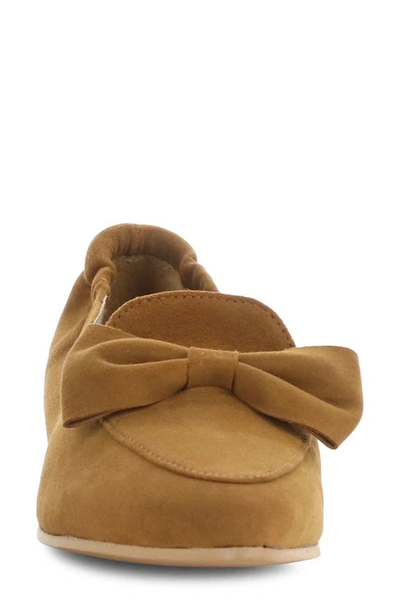 Shop Bos. & Co. Nicole Pointed Toe Loafer In Brandy