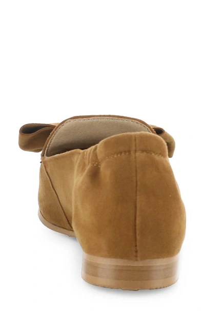 Bos. & Co. Nicole Pointed Toe Loafer In Brandy