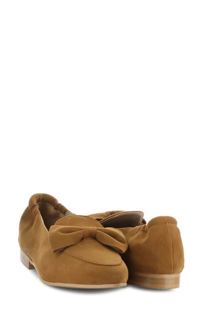 Shop Bos. & Co. Nicole Pointed Toe Loafer In Brandy