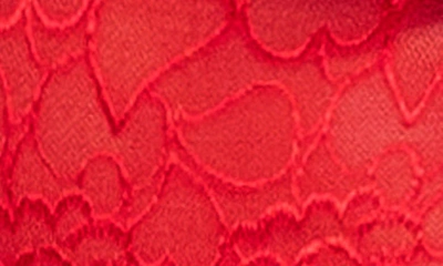 Shop Mapalé Lace Bra, High Waist Briefs & Garters In Red