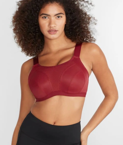 Shop Curvy Kate Every Move Sports Bra In Beet Root,red