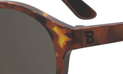 Babiators Round Sunglasses In Totally Tortoise