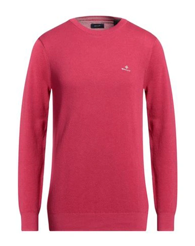 Shop Gant Man Sweater Magenta Size Xxl Cotton
