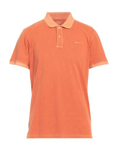 Shop Gant Man Polo Shirt Orange Size M Cotton