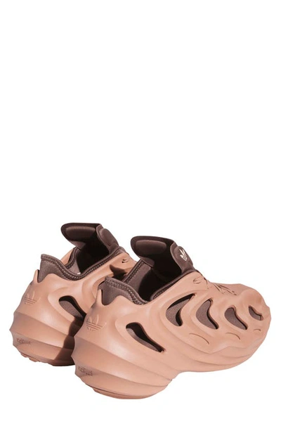 Shop Adidas Originals Adifom Q Sneaker In Clay/ Earth/ Beige